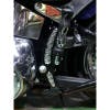 Chrome Skull Swing Arm Accent Set - On Motorcycle