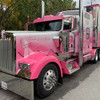 38 LED Square Double Face Dual Revolution Breast Cancer Awareness Pink Fender Light (Installed; On, Day 4)