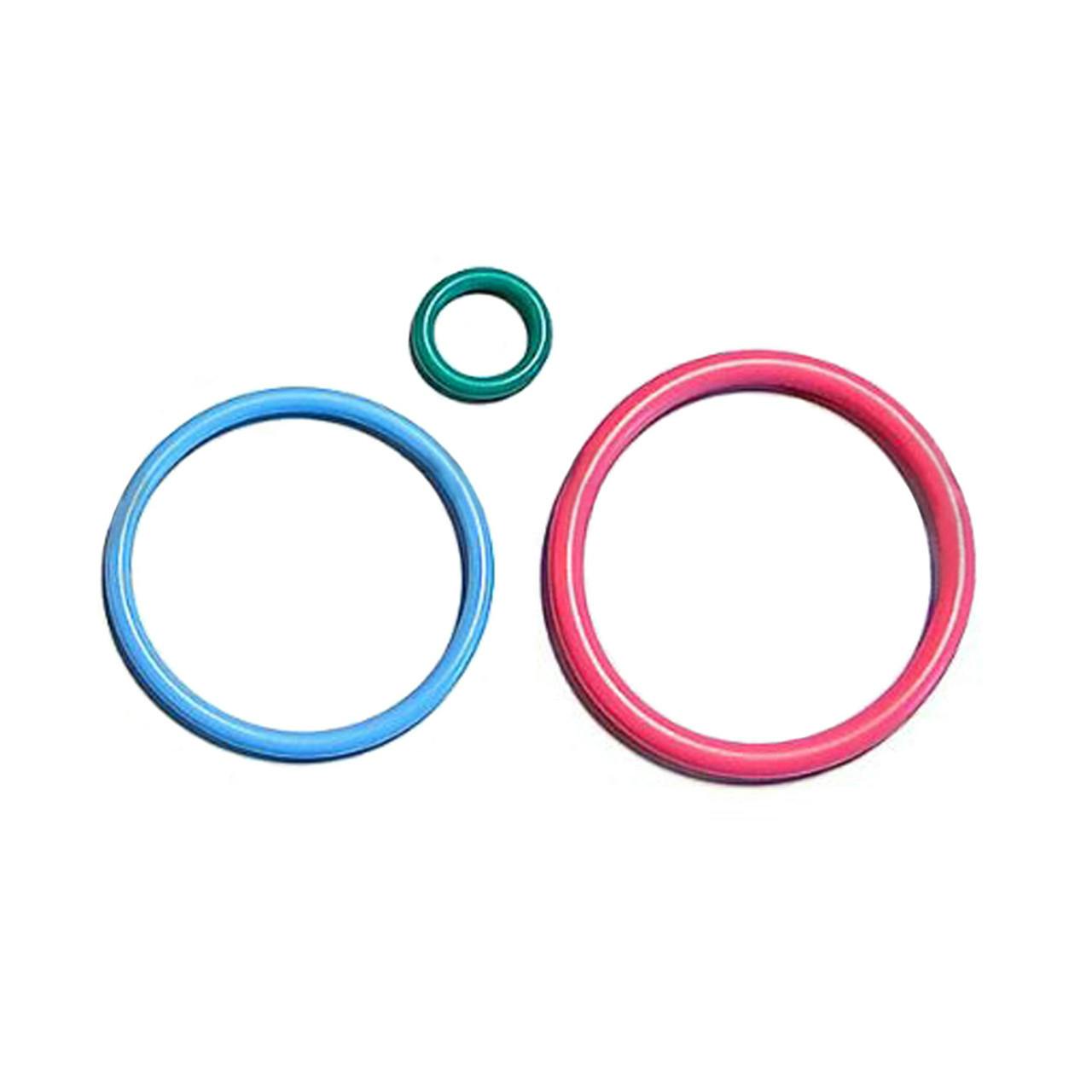 InterstateMcBee Caterpillar 3406E C15 ACERT Fuel Injector ORing Kit 2481394 Raney's Truck Parts