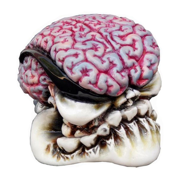 High Octane Brain Shift Knob Kit