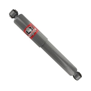 International Shocks