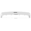 Freightliner Columbia Stainless Steel Bug Shield Deflector Back View