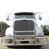 Peterbilt 587 2x4 Bar Rig Guard Aluminum Mounted