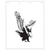 Eagle Mud Flap 24" x 30" (White, Single)