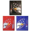 24" x 30" USA Eagle And Stars Mud Flaps