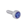 Kenworth Chrome Upper Dash Screws With Colored Diamond - Blue Diamond
