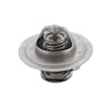 Cummins Thermostat Kit 3864178 3925473 Image 1