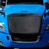 Freightliner Cascadia Mesh Grill with Bug Screen 2018 & Newer black installed 