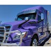 Freightliner Cascadia 17" Drop Visor On Purple Truck Side View