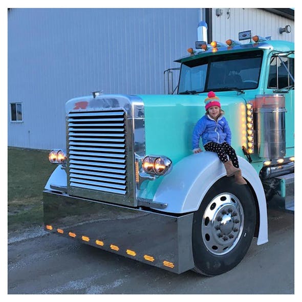 Peterbilt 379 Extended Hood Grill 16 Louvers