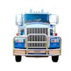 Kenworth W900 ProTec Grill Guard (Installed)