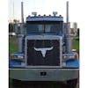 Peterbilt 377 378 379 Cow Skull Bug Screen On Truck