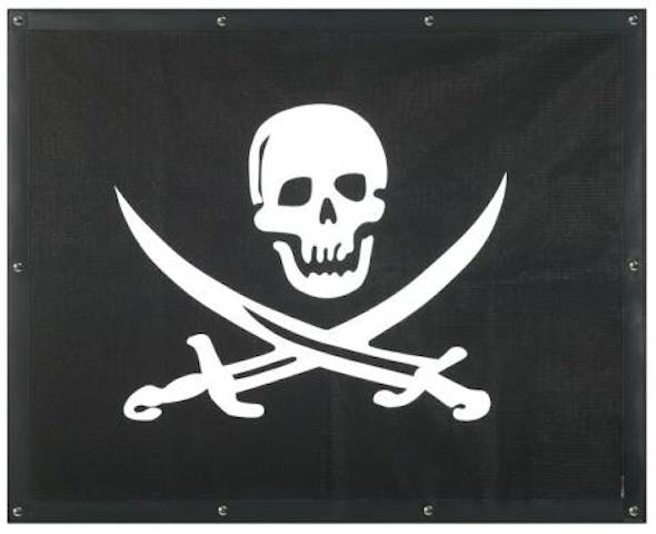 Kenworth W900L Extended Hood Pirate Skull Bug Screen