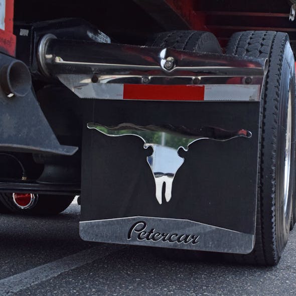 Chrome Longhorn Skull Cutout On Truck